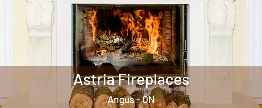  Astria Fireplaces Angus - ON
