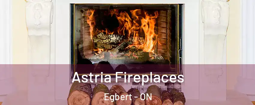  Astria Fireplaces Egbert - ON