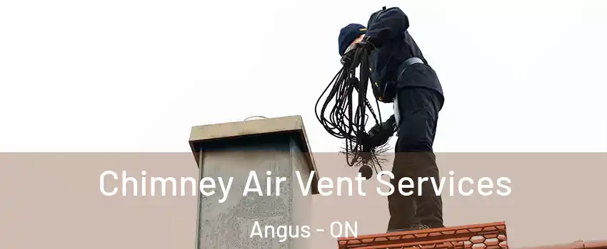  Chimney Air Vent Services Angus - ON