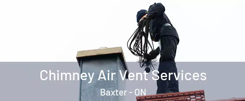  Chimney Air Vent Services Baxter - ON