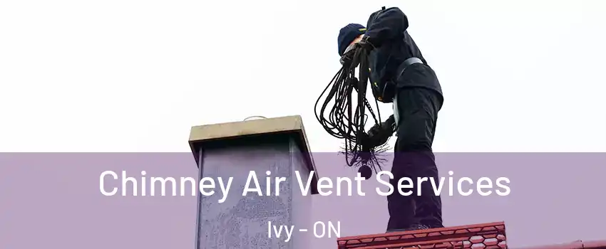  Chimney Air Vent Services Ivy - ON