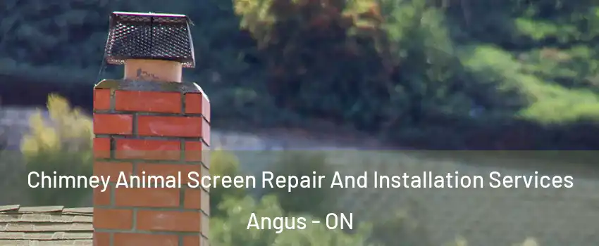  Chimney Animal Screen Repair And Installation Services Angus - ON