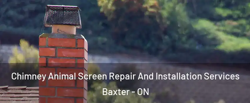  Chimney Animal Screen Repair And Installation Services Baxter - ON