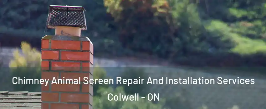  Chimney Animal Screen Repair And Installation Services Colwell - ON