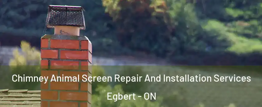  Chimney Animal Screen Repair And Installation Services Egbert - ON
