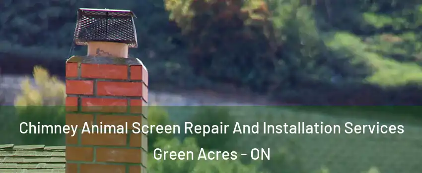  Chimney Animal Screen Repair And Installation Services Green Acres - ON