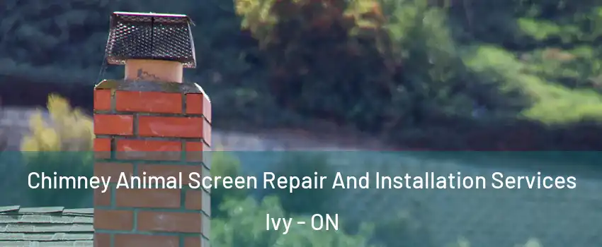  Chimney Animal Screen Repair And Installation Services Ivy - ON
