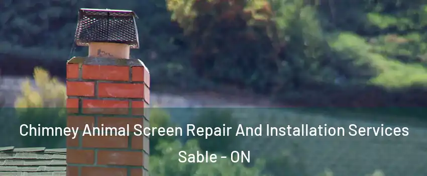  Chimney Animal Screen Repair And Installation Services Sable - ON
