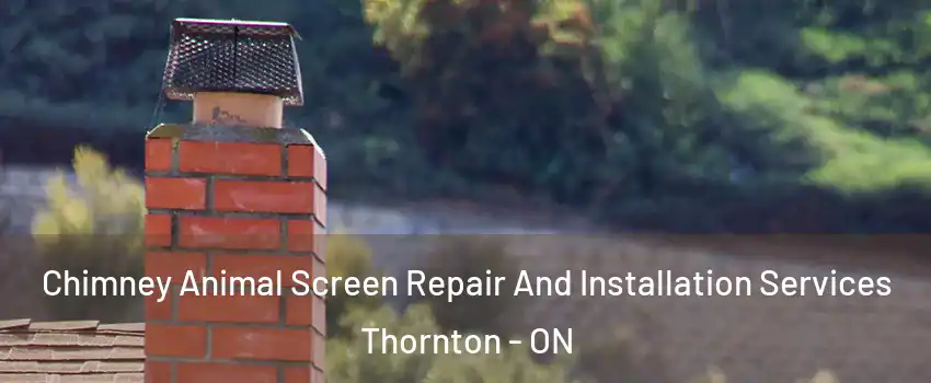  Chimney Animal Screen Repair And Installation Services Thornton - ON