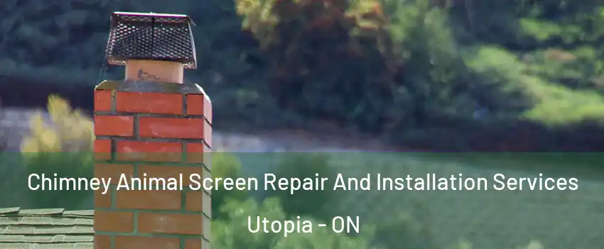  Chimney Animal Screen Repair And Installation Services Utopia - ON