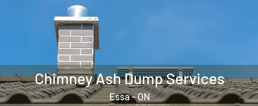  Chimney Ash Dump Services Essa - ON