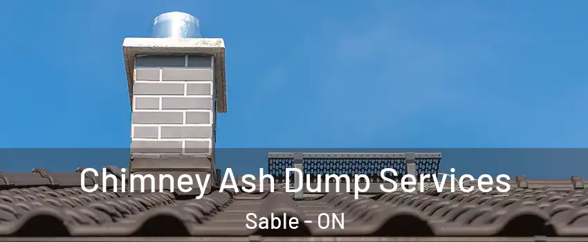  Chimney Ash Dump Services Sable - ON