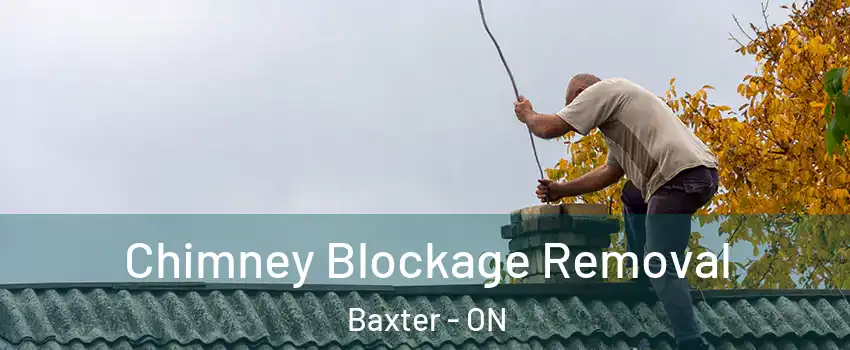 Chimney Blockage Removal Baxter - ON