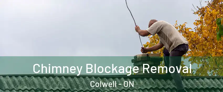  Chimney Blockage Removal Colwell - ON