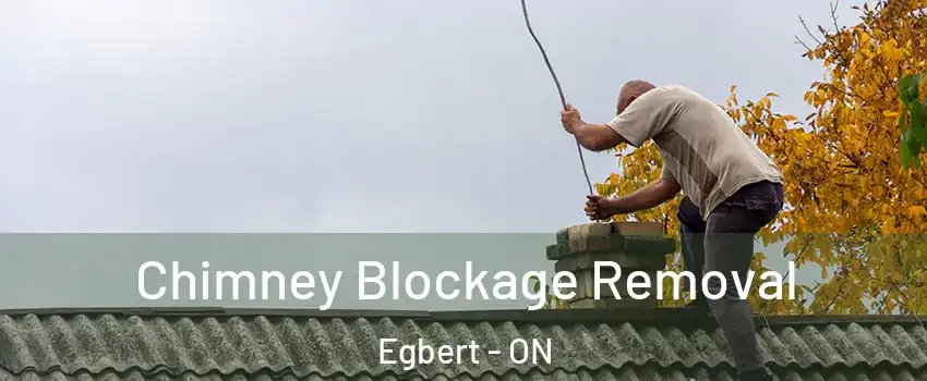  Chimney Blockage Removal Egbert - ON