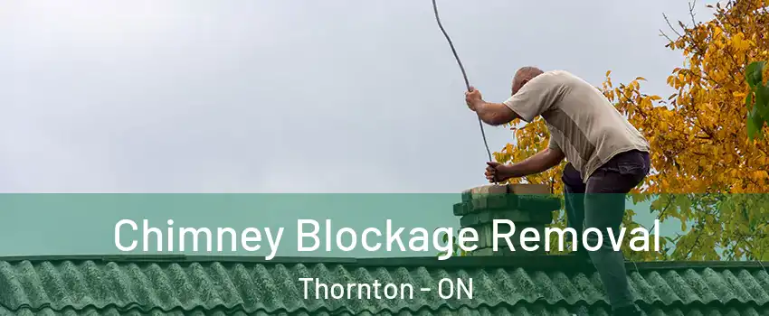  Chimney Blockage Removal Thornton - ON