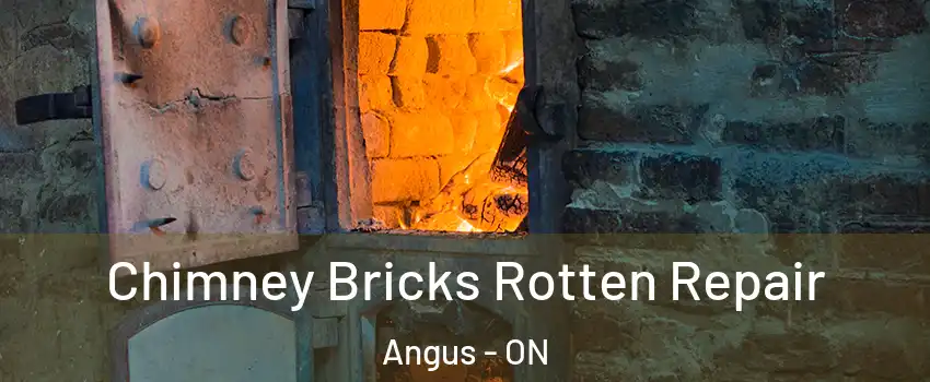  Chimney Bricks Rotten Repair Angus - ON