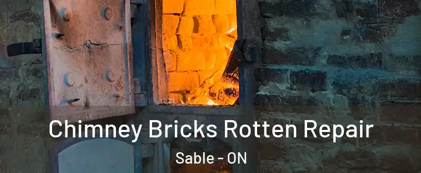  Chimney Bricks Rotten Repair Sable - ON