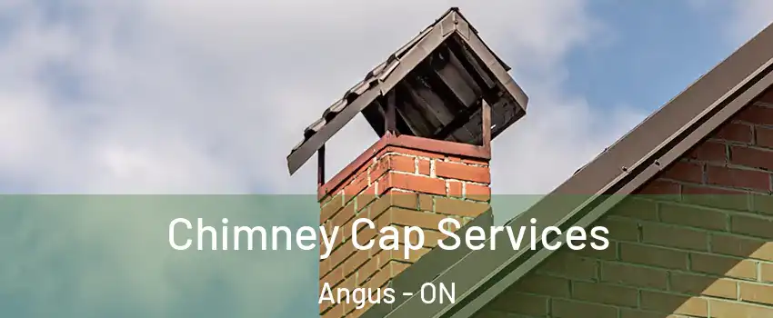  Chimney Cap Services Angus - ON