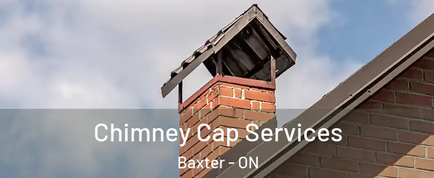  Chimney Cap Services Baxter - ON