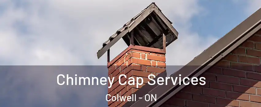  Chimney Cap Services Colwell - ON