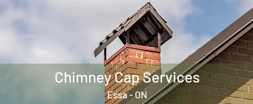  Chimney Cap Services Essa - ON