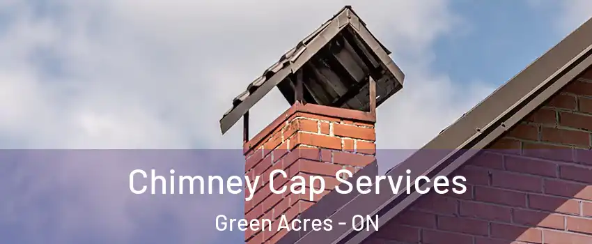  Chimney Cap Services Green Acres - ON