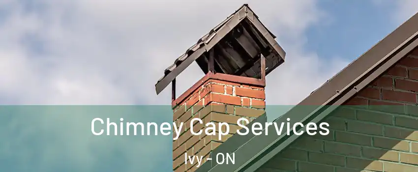  Chimney Cap Services Ivy - ON