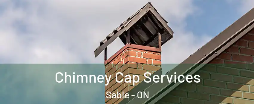 Chimney Cap Services Sable - ON