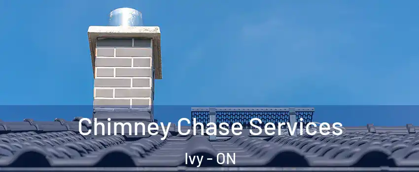  Chimney Chase Services Ivy - ON