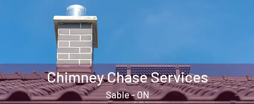  Chimney Chase Services Sable - ON
