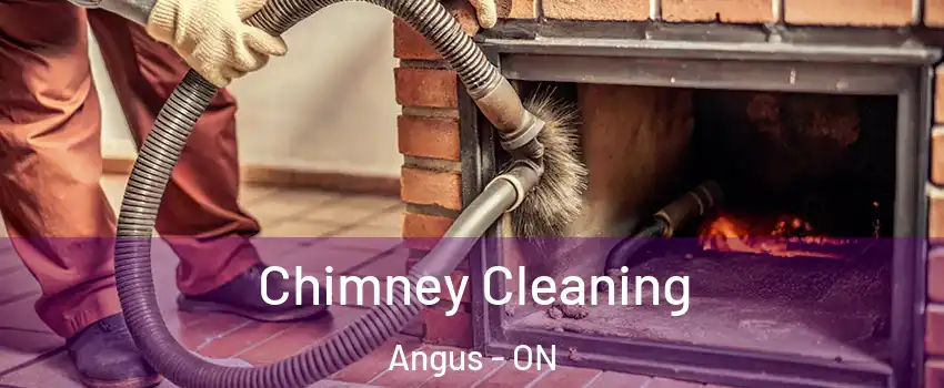 Chimney Cleaning Angus - ON