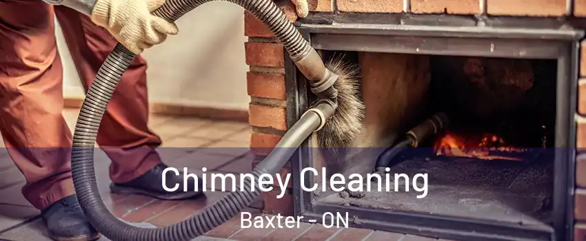  Chimney Cleaning Baxter - ON