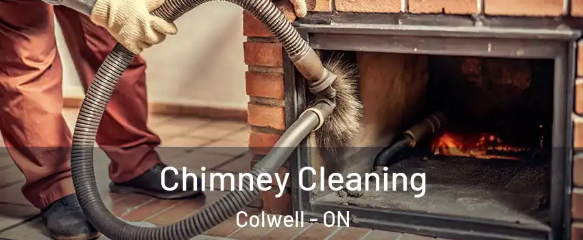  Chimney Cleaning Colwell - ON
