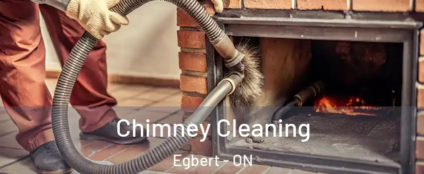 Chimney Cleaning Egbert - ON