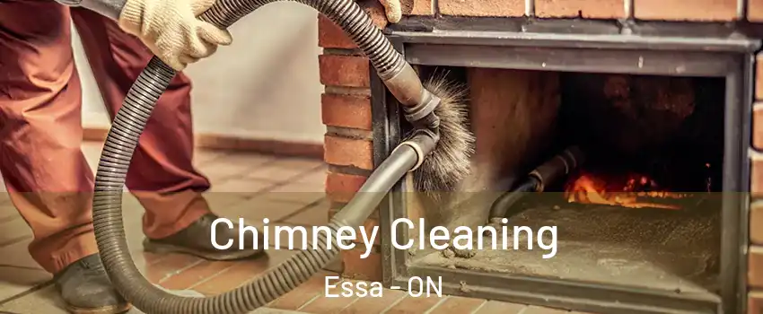  Chimney Cleaning Essa - ON