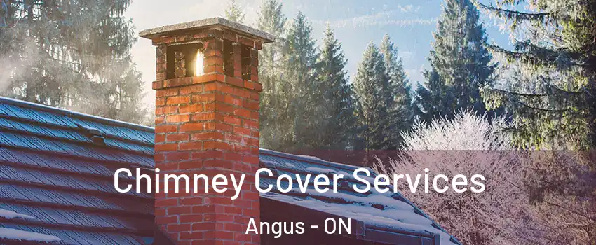  Chimney Cover Services Angus - ON