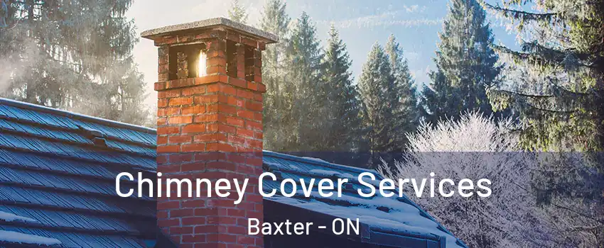  Chimney Cover Services Baxter - ON