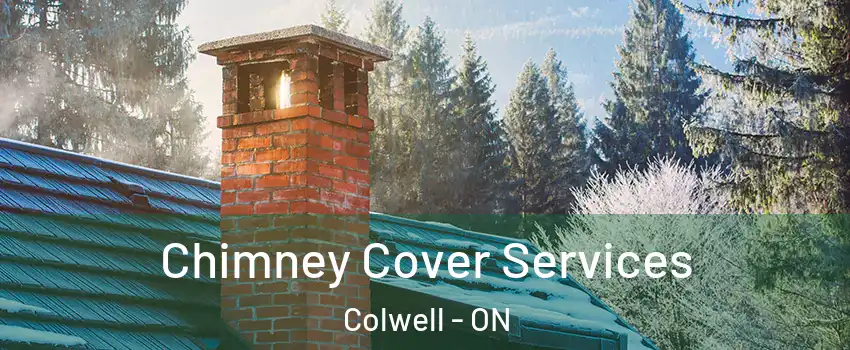  Chimney Cover Services Colwell - ON