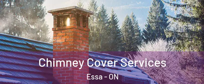  Chimney Cover Services Essa - ON