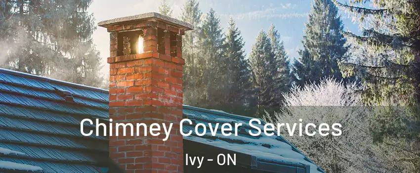  Chimney Cover Services Ivy - ON