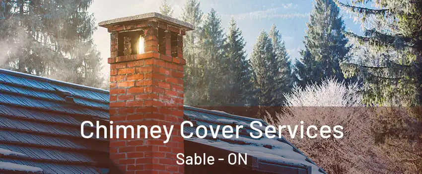  Chimney Cover Services Sable - ON