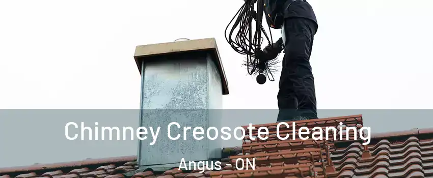  Chimney Creosote Cleaning Angus - ON