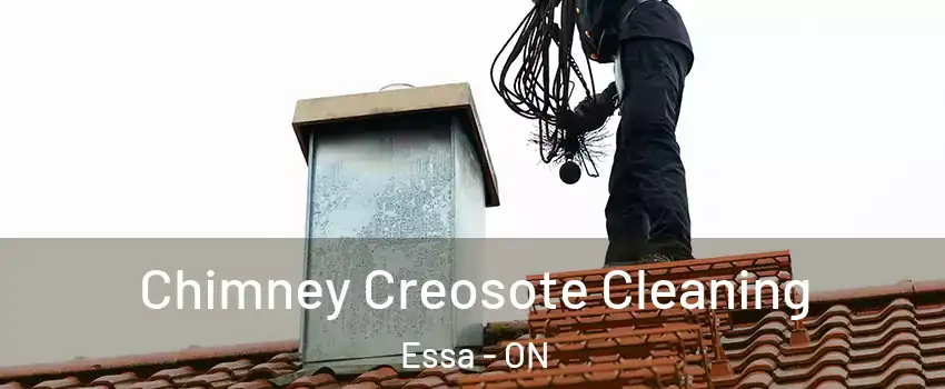  Chimney Creosote Cleaning Essa - ON