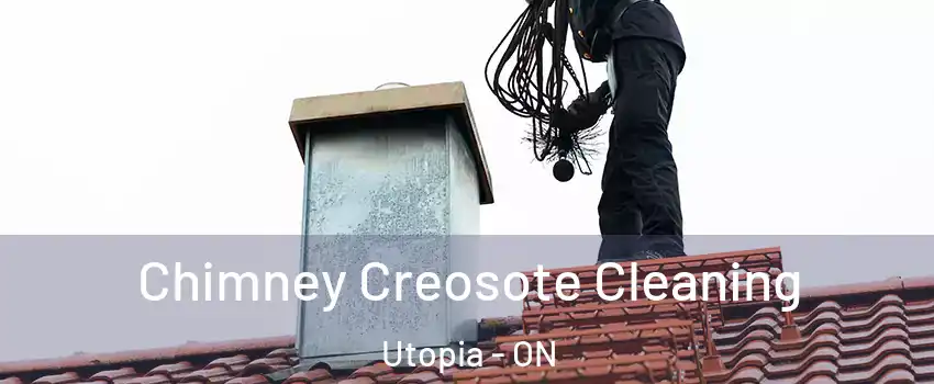  Chimney Creosote Cleaning Utopia - ON