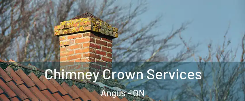 Chimney Crown Services Angus - ON