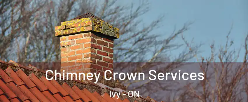  Chimney Crown Services Ivy - ON