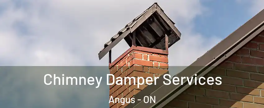  Chimney Damper Services Angus - ON