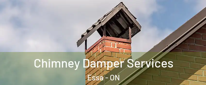  Chimney Damper Services Essa - ON