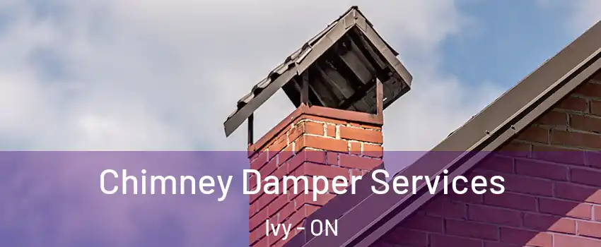  Chimney Damper Services Ivy - ON